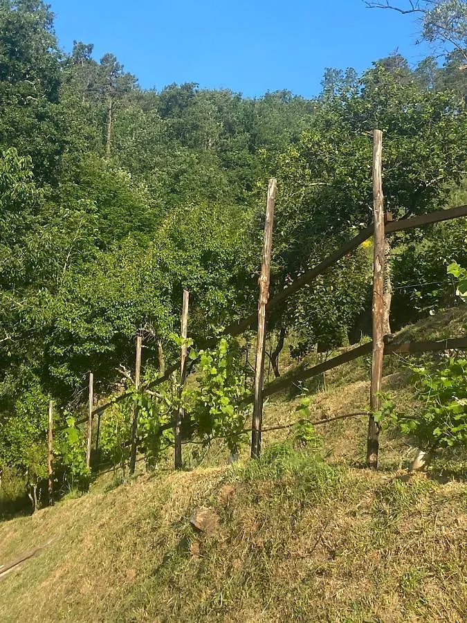 Villa Maremonti - con 2 piscine Sestri Levante Appartamento